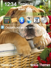 Спящая собачка для Nokia E66