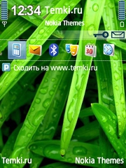 Мокрые листья для Nokia X5-01