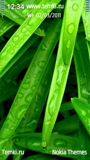 Мокрые листья для Nokia C7 Astound