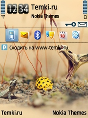 Змейка для Nokia N75