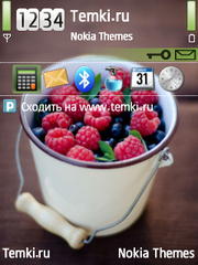 Ягодки для Nokia N81 8GB
