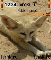 Лисёнок для Nokia N72