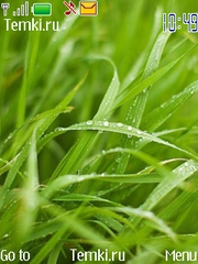Роса на траве для Nokia 3600 slide