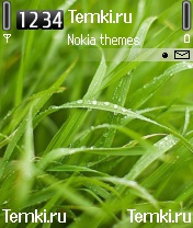 Роса на траве для Nokia 6630