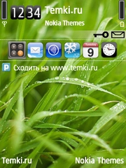 Роса на траве для Nokia 6220 classic