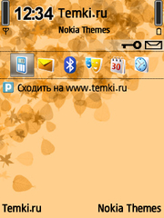 Листопад для Nokia 6700 Slide