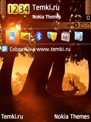 В лесу для Nokia 6790 Slide