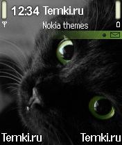 Кошка для Nokia 6260