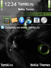 Кошка для Nokia 6124 Classic