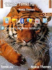 Тигр-пловец для Nokia 6790 Surge