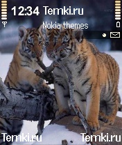 Тигрята безобразничают для Nokia 7610