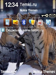Тигрята безобразничают для Nokia 6220 classic
