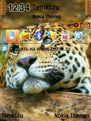 Милый гепард для Nokia E51