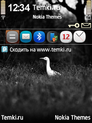 Птица для Nokia 6790 Slide