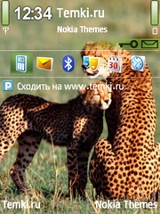 Семья гепардов для Nokia 6760 Slide