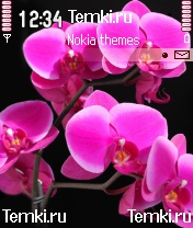 Орхидея для Nokia 7610