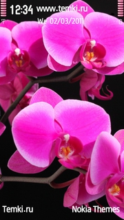 Орхидея для Samsung i8910 OmniaHD