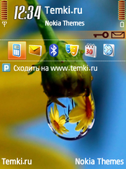 Цветок для Nokia 6730 classic