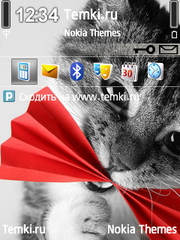 Кошка с игрушкой для Nokia 6760 Slide
