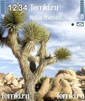 Странное дерево для Nokia N90