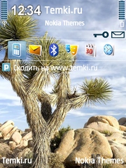 Странное дерево для Nokia 6110 Navigator