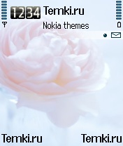 Розовая роза для Nokia 6630