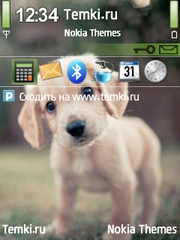 Щенок для Nokia N75
