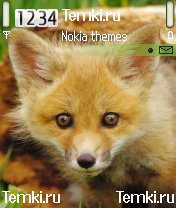 Лисичка для Nokia N72