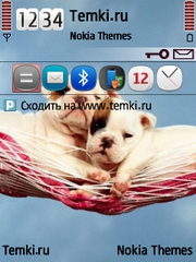 Щеночки для Nokia N93i