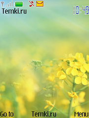 Желтые цветы для Nokia Asha 201
