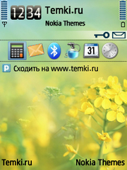 Желтые цветы для Nokia 6700 Slide
