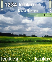 День для Nokia N90