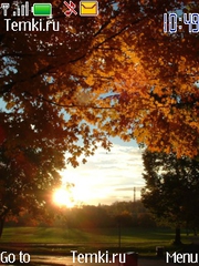 Осеннее солнце для Nokia 6131
