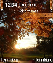 Осеннее солнце для Nokia N90