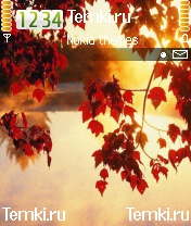 Дождливая Осень для Nokia N72