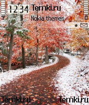 Поздняя осень для Nokia N70