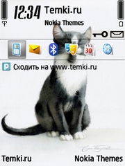Киска для Nokia E73 Mode