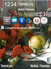 Натюрморт для Nokia 5630 XpressMusic