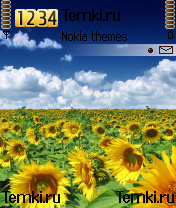 Цветочное поле для Nokia N70