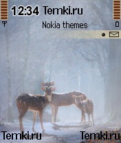 Оленята для Nokia 6630