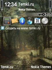 Поздняя прогулка для Nokia 6790 Slide