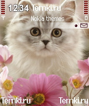 Кошечка для Nokia N70