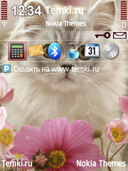 Кошечка для Nokia 6700 Slide
