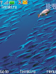 Рыбки для Nokia 6750 Mural