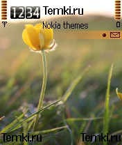 Желтый цветок для Nokia N70