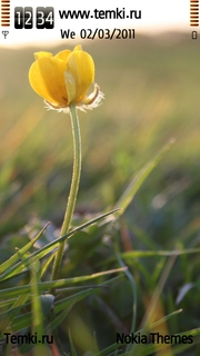 Желтый цветок для Samsung i8910 OmniaHD