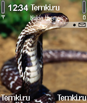 Змейка для Nokia 6600
