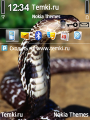 Змейка для Nokia N77