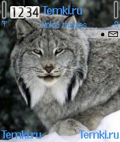 Дикая кошка для Nokia N90