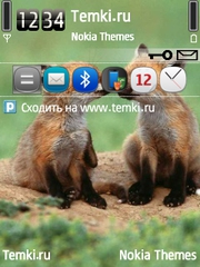 Лисята для Nokia N78